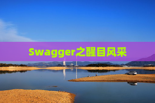 Swagger之醒目风采